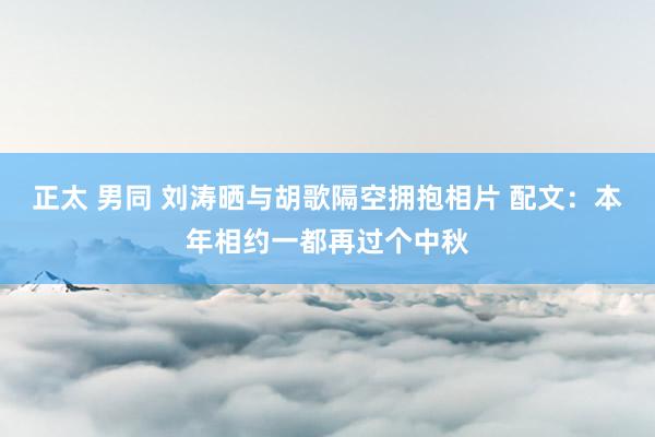 正太 男同 刘涛晒与胡歌隔空拥抱相片 配文：本年相约一都再过个中秋