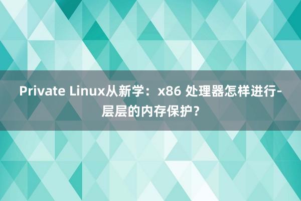 Private Linux从新学：x86 处理器怎样进行-层层的内存保护？