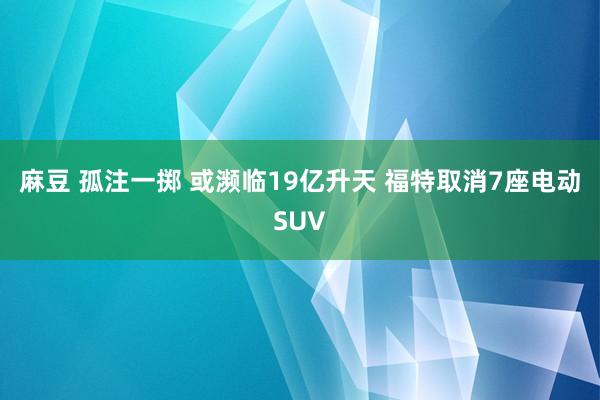 麻豆 孤注一掷 或濒临19亿升天 福特取消7座电动SUV