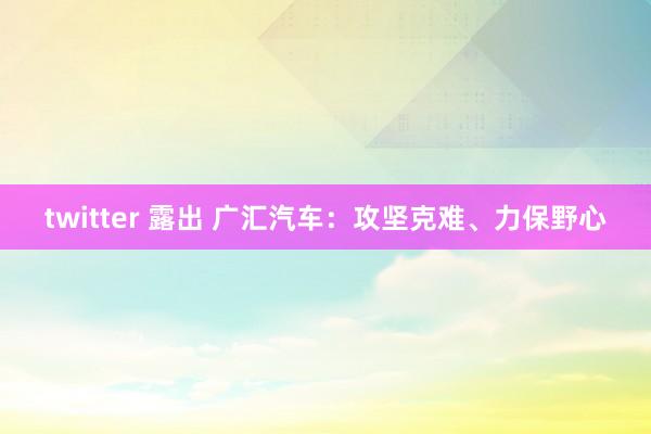 twitter 露出 广汇汽车：攻坚克难、力保野心