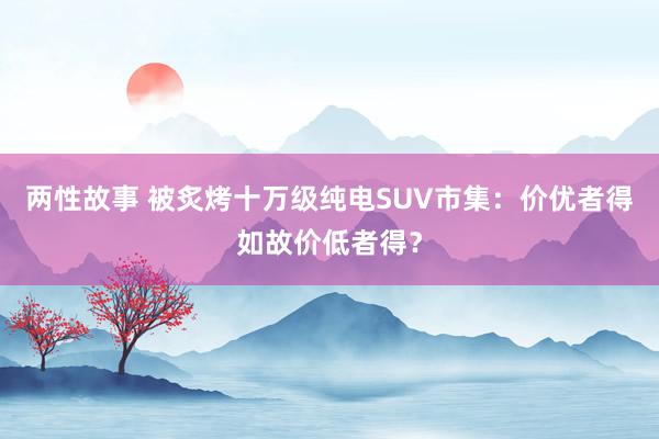 两性故事 被炙烤十万级纯电SUV市集：价优者得如故价低者得？