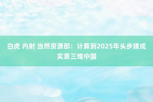 白虎 内射 当然资源部：计算到2025年头步建成实景三维中国