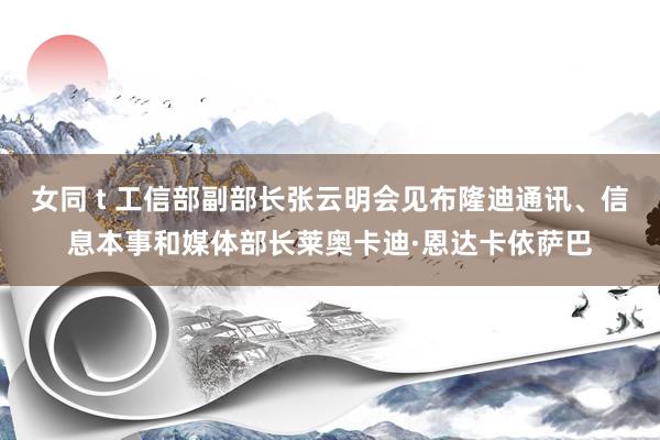 女同 t 工信部副部长张云明会见布隆迪通讯、信息本事和媒体部长莱奥卡迪·恩达卡依萨巴