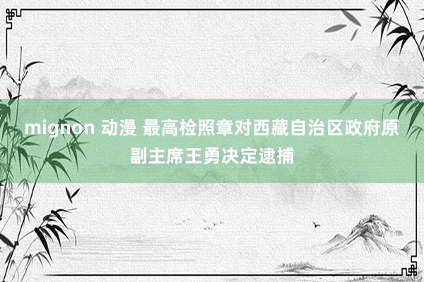 mignon 动漫 最高检照章对西藏自治区政府原副主席王勇决定逮捕