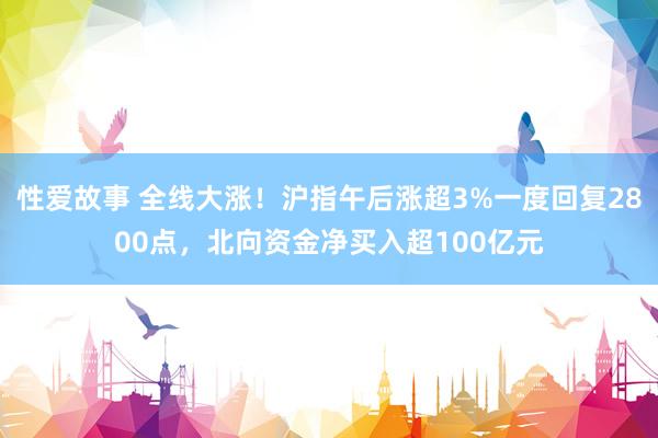 性爱故事 全线大涨！沪指午后涨超3%一度回复2800点，北向资金净买入超100亿元