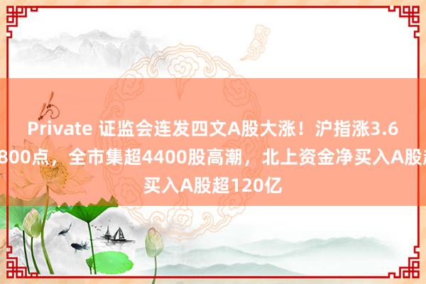 Private 证监会连发四文A股大涨！沪指涨3.6%重回2800点，全市集超4400股高潮，北上资金净买入A股超120亿