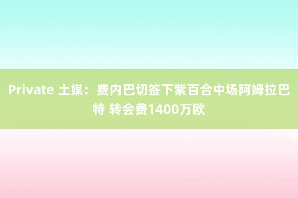 Private 土媒：费内巴切签下紫百合中场阿姆拉巴特 转会费1400万欧