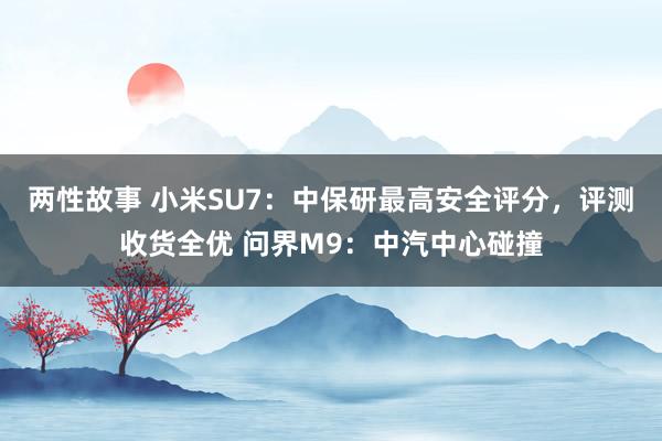 两性故事 小米SU7：中保研最高安全评分，评测收货全优 问界M9：中汽中心碰撞