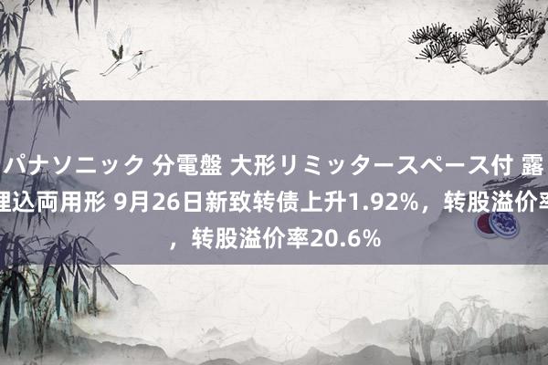 パナソニック 分電盤 大形リミッタースペース付 露出・半埋込両用形 9月26日新致转债上升1.92%，转股溢价率20.6%