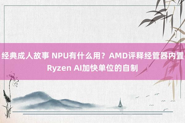 经典成人故事 NPU有什么用？AMD评释经管器内置Ryzen AI加快单位的自制