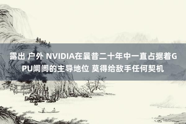 露出 户外 NVIDIA在曩昔二十年中一直占据着GPU阛阓的主导地位 莫得给敌手任何契机