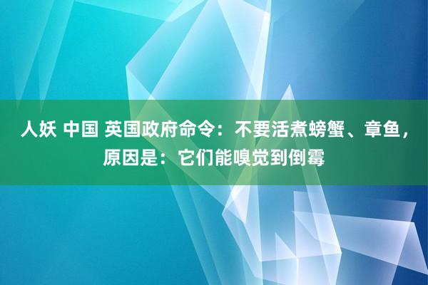 人妖 中国 英国政府命令：不要活煮螃蟹、章鱼，原因是：它们能嗅觉到倒霉