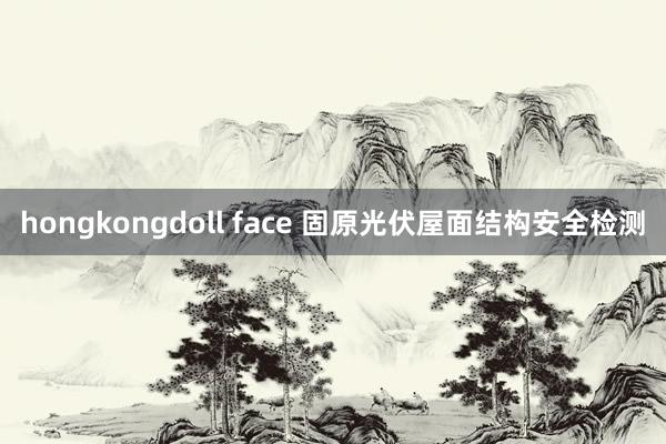 hongkongdoll face 固原光伏屋面结构安全检测