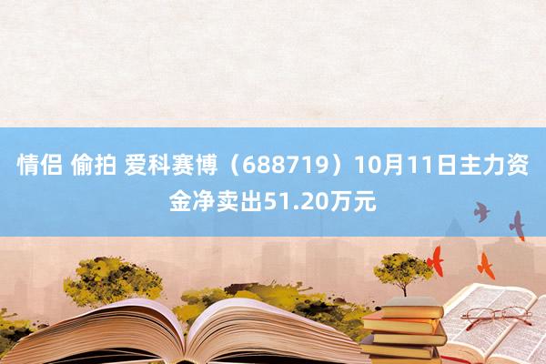 情侣 偷拍 爱科赛博（688719）10月11日主力资金净卖出51.20万元