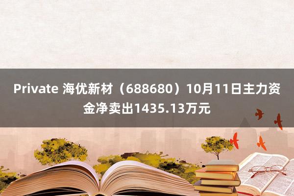 Private 海优新材（688680）10月11日主力资金净卖出1435.13万元