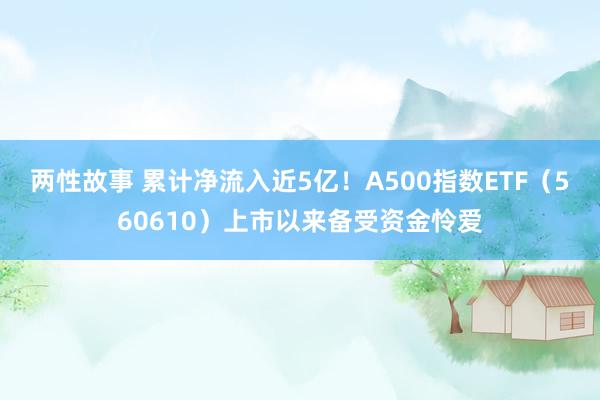 两性故事 累计净流入近5亿！A500指数ETF（560610）上市以来备受资金怜爱