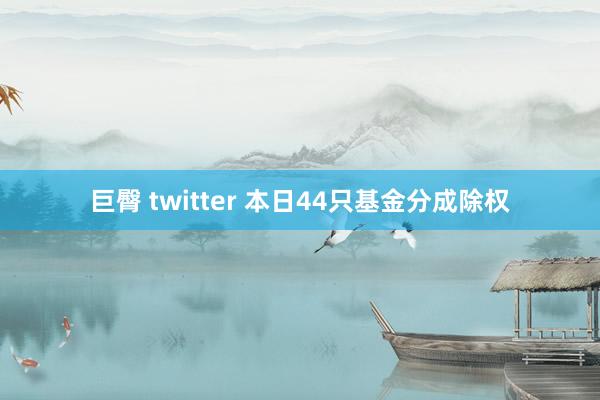 巨臀 twitter 本日44只基金分成除权