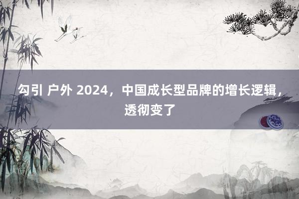 勾引 户外 2024，中国成长型品牌的增长逻辑，透彻变了