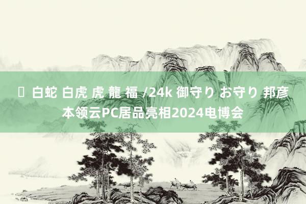 ✨白蛇 白虎 虎 龍 福 /24k 御守り お守り 邦彦本领云PC居品亮相2024电博会