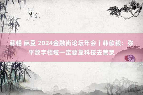 蘇暢 麻豆 2024金融街论坛年会丨韩歆毅：弥平数字领域一定要靠科技去管束