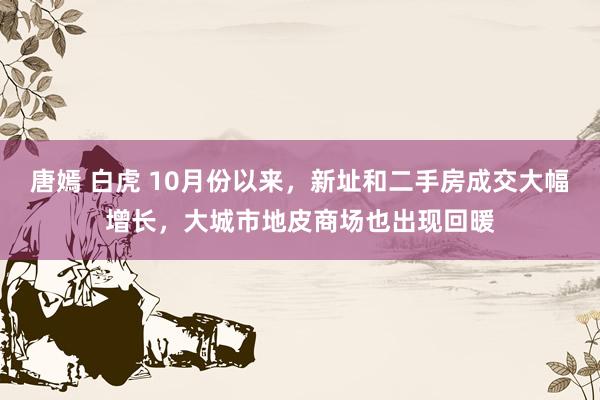 唐嫣 白虎 10月份以来，新址和二手房成交大幅增长，大城市地皮商场也出现回暖