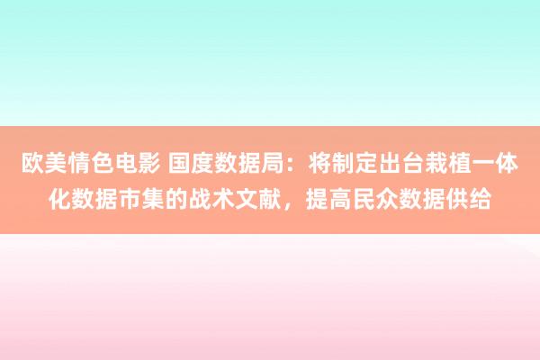 欧美情色电影 国度数据局：将制定出台栽植一体化数据市集的战术文献，提高民众数据供给