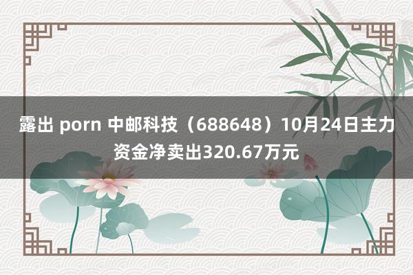 露出 porn 中邮科技（688648）10月24日主力资金净卖出320.67万元