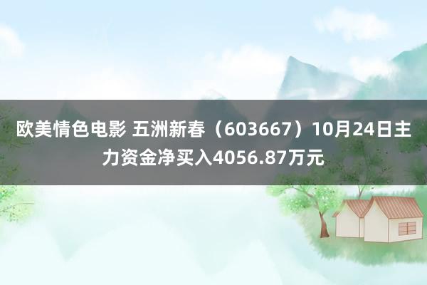 欧美情色电影 五洲新春（603667）10月24日主力资金净买入4056.87万元