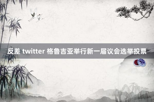 反差 twitter 格鲁吉亚举行新一届议会选举投票