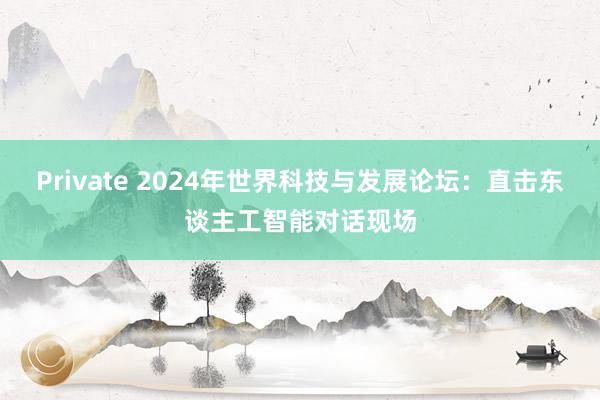 Private 2024年世界科技与发展论坛：直击东谈主工智能对话现场