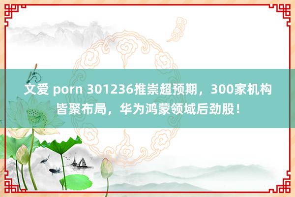 文爱 porn 301236推崇超预期，300家机构皆聚布局，华为鸿蒙领域后劲股！