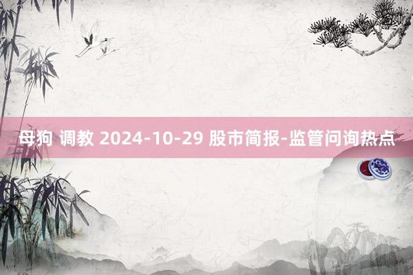 母狗 调教 2024-10-29 股市简报-监管问询热点