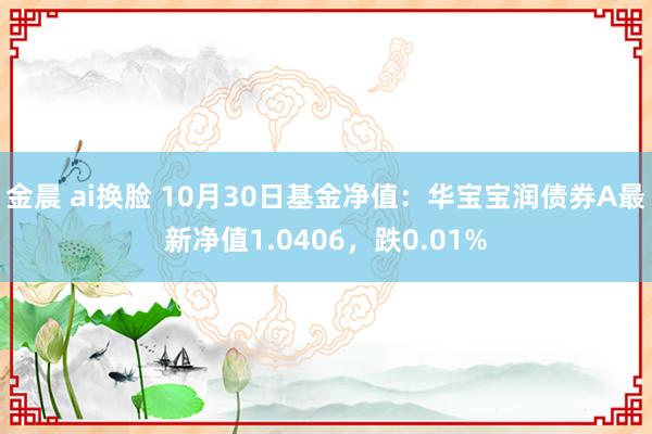 金晨 ai换脸 10月30日基金净值：华宝宝润债券A最新净值1.0406，跌0.01%