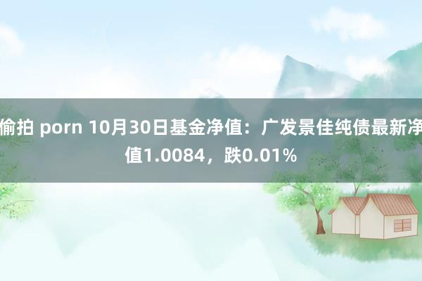 偷拍 porn 10月30日基金净值：广发景佳纯债最新净值1.0084，跌0.01%