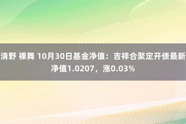 清野 裸舞 10月30日基金净值：吉祥合聚定开债最新净值1.0207，涨0.03%