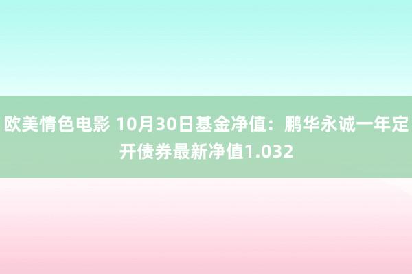 欧美情色电影 10月30日基金净值：鹏华永诚一年定开债券最新净值1.032