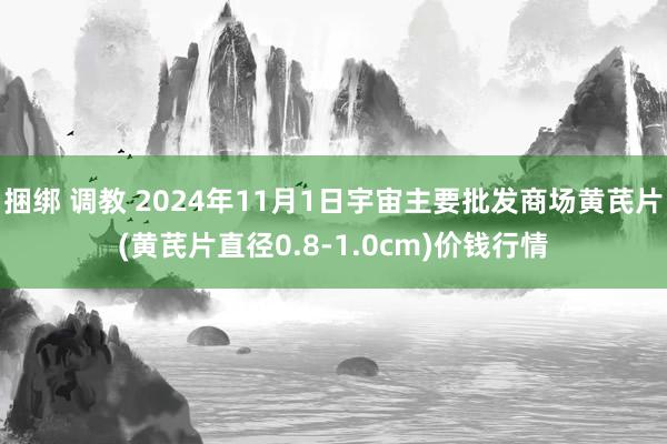 捆绑 调教 2024年11月1日宇宙主要批发商场黄芪片(黄芪片直径0.8-1.0cm)价钱行情