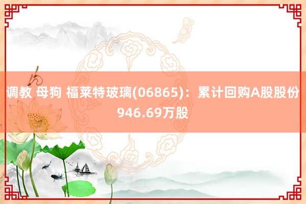 调教 母狗 福莱特玻璃(06865)：累计回购A股股份946.69万股