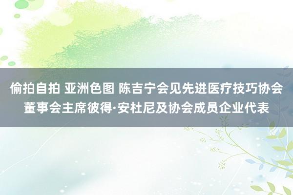 偷拍自拍 亚洲色图 陈吉宁会见先进医疗技巧协会董事会主席彼得·安杜尼及协会成员企业代表