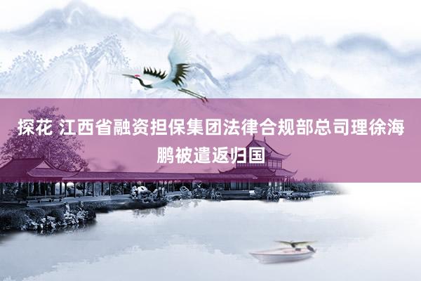 探花 江西省融资担保集团法律合规部总司理徐海鹏被遣返归国