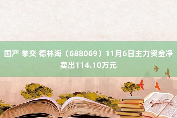 国产 拳交 德林海（688069）11月6日主力资金净卖出114.10万元