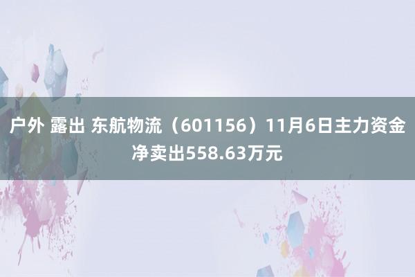 户外 露出 东航物流（601156）11月6日主力资金净卖出558.63万元