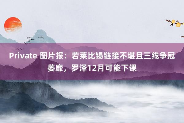 Private 图片报：若莱比锡链接不堪且三线争冠萎靡，罗泽12月可能下课