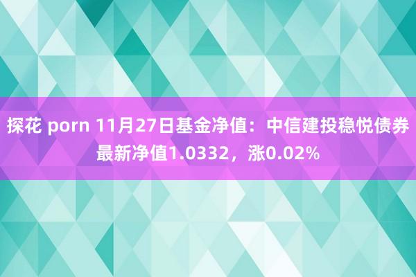 探花 porn 11月27日基金净值：中信建投稳悦债券最新净值1.0332，涨0.02%