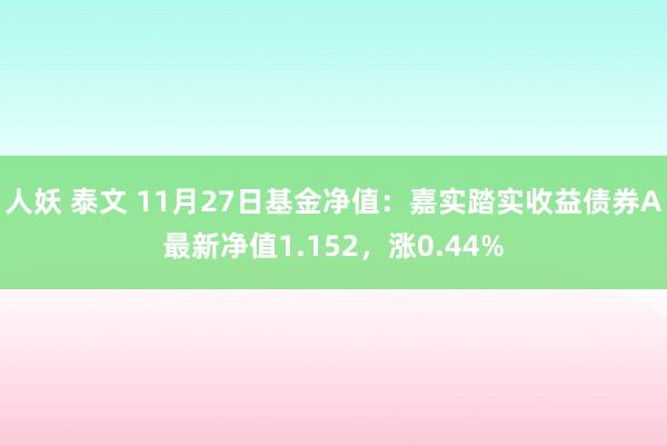 人妖 泰文 11月27日基金净值：嘉实踏实收益债券A最新净值1.152，涨0.44%