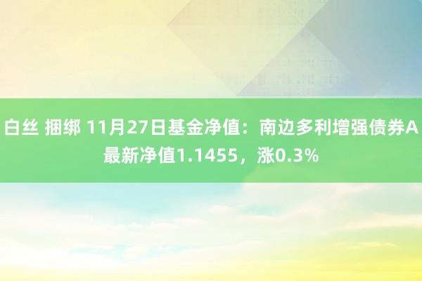 白丝 捆绑 11月27日基金净值：南边多利增强债券A最新净值1.1455，涨0.3%