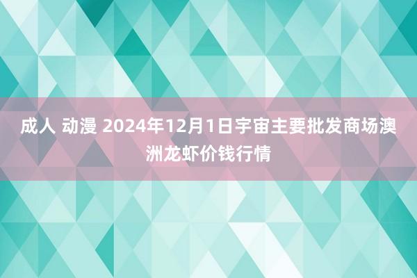 成人 动漫 2024年12月1日宇宙主要批发商场澳洲龙虾价钱行情