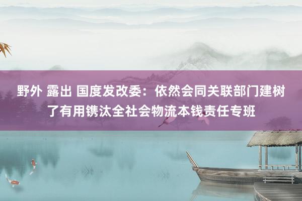 野外 露出 国度发改委：依然会同关联部门建树了有用镌汰全社会物流本钱责任专班