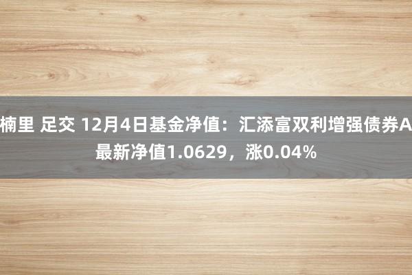 楠里 足交 12月4日基金净值：汇添富双利增强债券A最新净值1.0629，涨0.04%