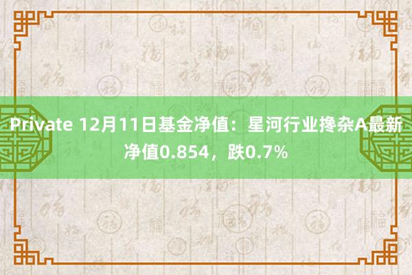 Private 12月11日基金净值：星河行业搀杂A最新净值0.854，跌0.7%